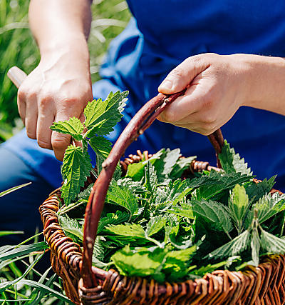 Koken met de natuur van Zuid-Tirol